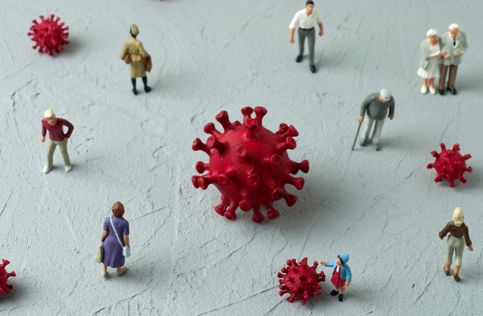 First impressions matter: New insights into long-term protection from the flu