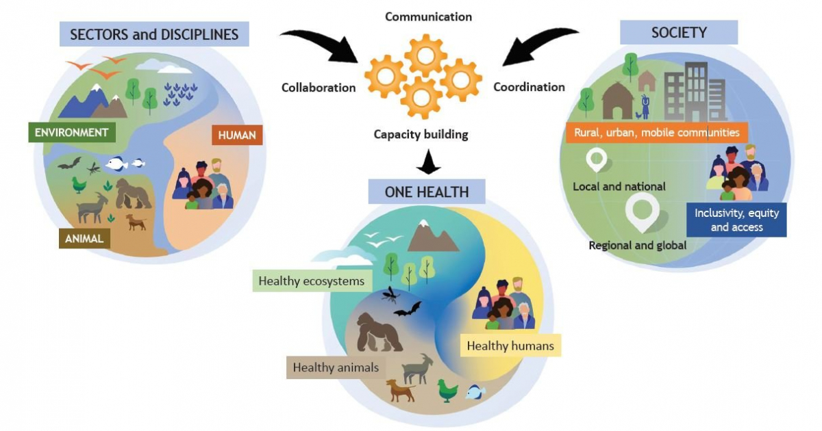 Unified Definition Of One Health Adopted By Global Animal, Environment ...