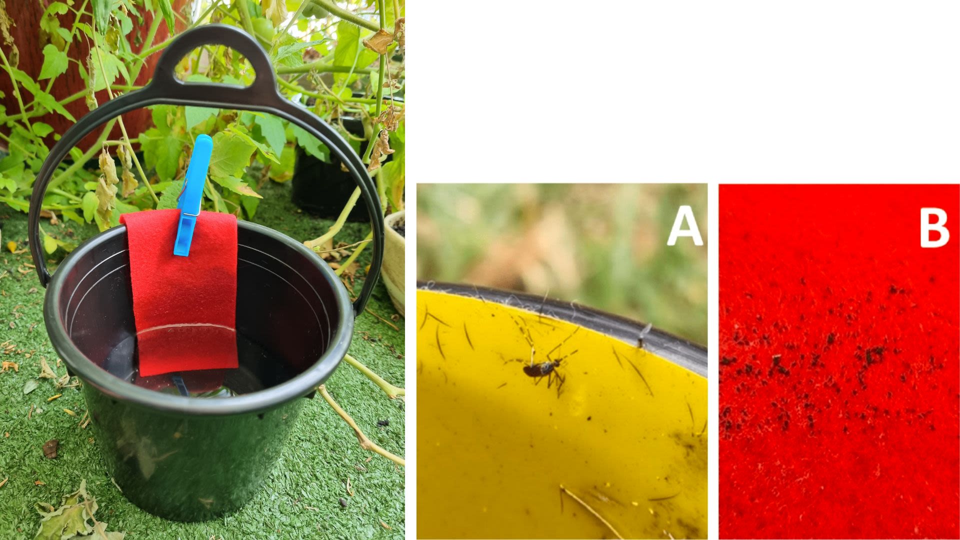 Mosquito traps