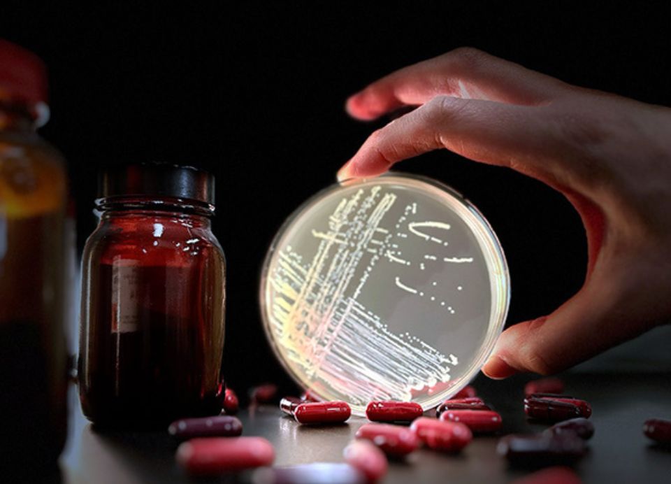 The dark side of antibiotics; A key drug used to treat liver failure unexpectedly causes cross-resistance to the critical antibiotic daptomycin. Image: Adrianna Turner