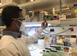 In-person upskilling: Laboratory technicians from Fiji visit Melbourne for a two-week training course