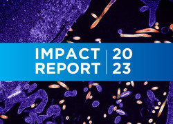 Discover our 2023 Impact Report