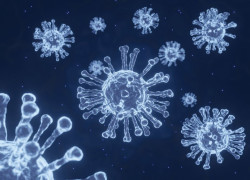 Study sheds light on how virus-fighting cells develop during long COVID