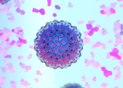 Treating viral hepatitis: Therapeutic lessons for future pandemics