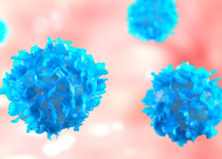 Revealing the blueprint of memory T cells, the key to long-term immunity